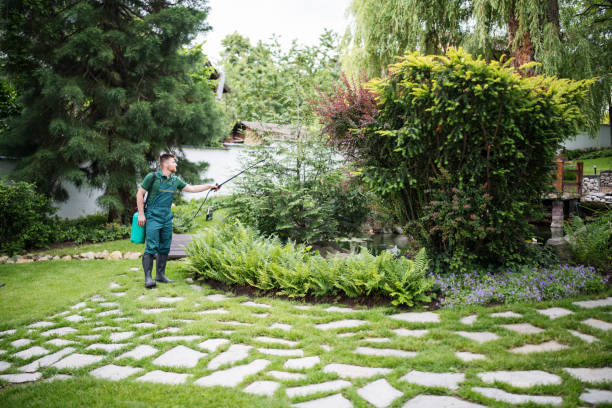 Best Lawn Irrigation Installation and Maintenance  in Rainelle, WV